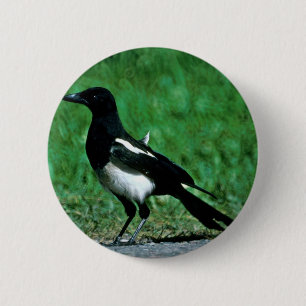Magpie 2 Inch Round Button