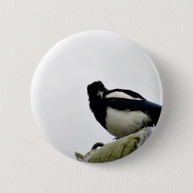 Magpie 2 Inch Round Button (Front)