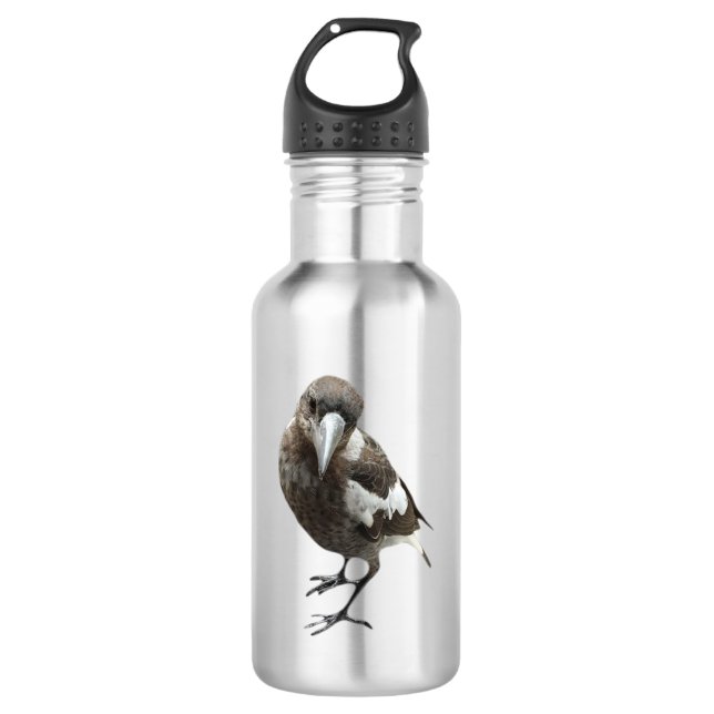 Magpie 532 Ml Water Bottle (Front)