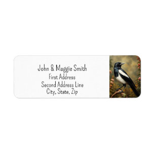 Magpie Jardin Oiseau Faune Nature Art animal