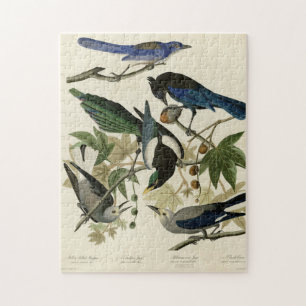 Magpie Jays & Nutcracker Audubon Birds of America Jigsaw Puzzle