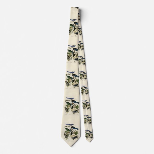 Magpie Jays & Nutcracker Audubon Birds of America  Tie (Front)