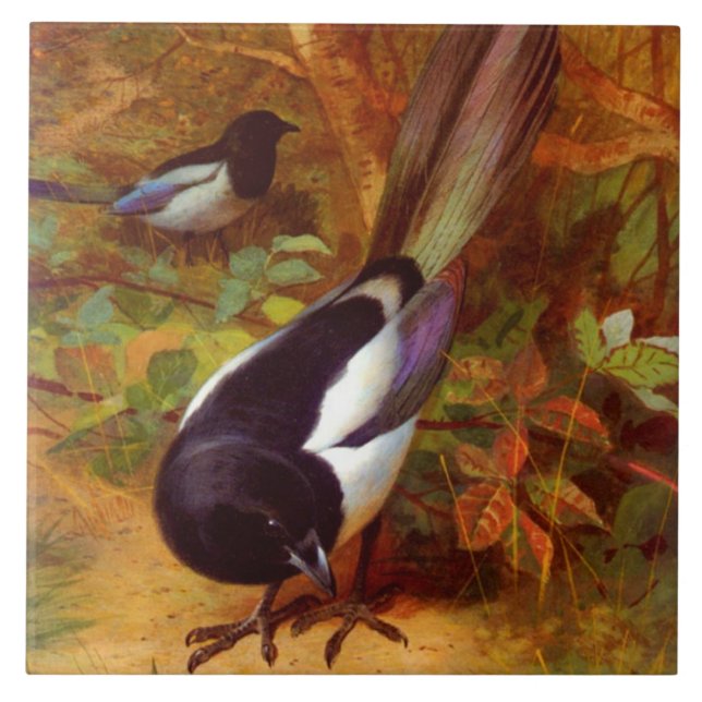 Magpies Tile (Front)