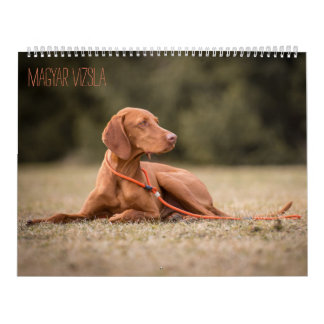 Magyar Vizsla de chiens calendriers