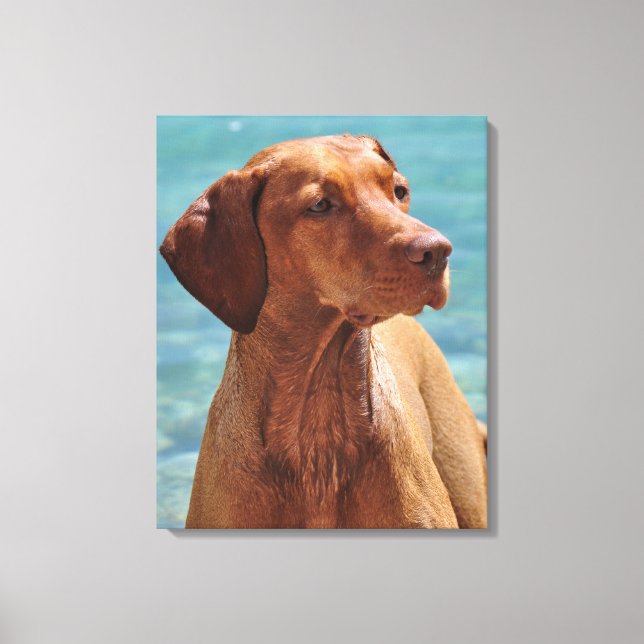 Magyar Vizsla Dog Canvas Print (Front)
