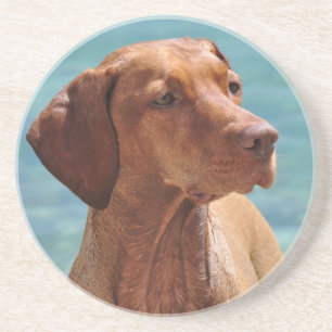 Magyar Vizsla Dog Coaster