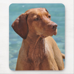 Magyar Vizsla Dog Mouse Pad