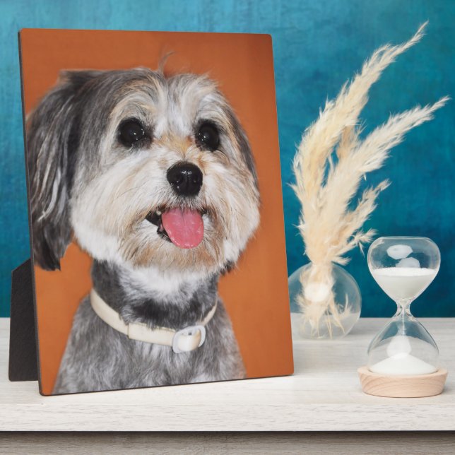 Magyar Vizsla Dog Plaque (Side)