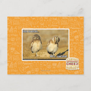 Mah brothah postcard
