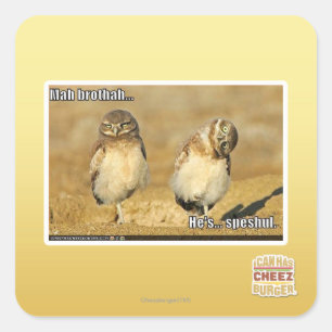 Mah brothah square sticker