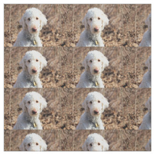 Mah Fabric