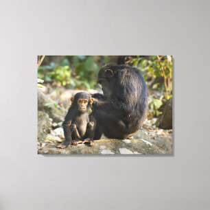 Mahale Mountains National Park, Tanzania Canvas Print