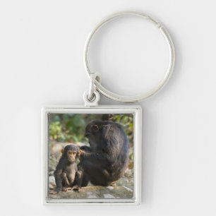 Mahale Mountains National Park, Tanzania Keychain