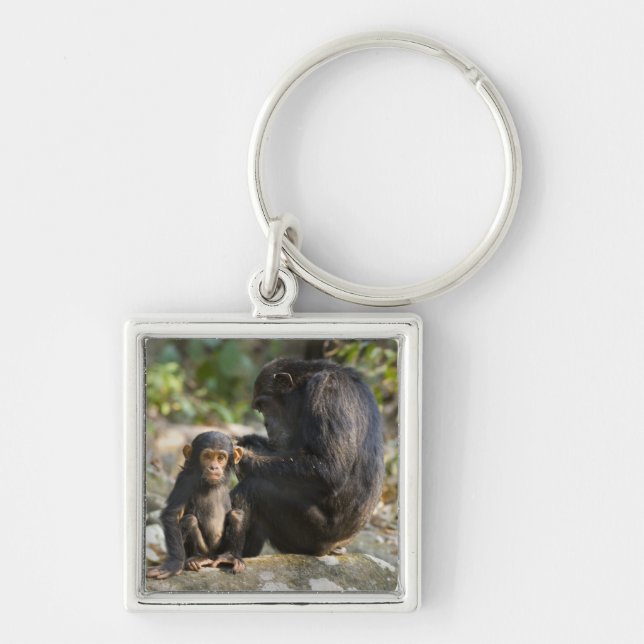 Mahale Mountains National Park, Tanzania Keychain (Front)