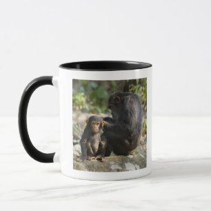 Mahale Mountains National Park, Tanzania Mug