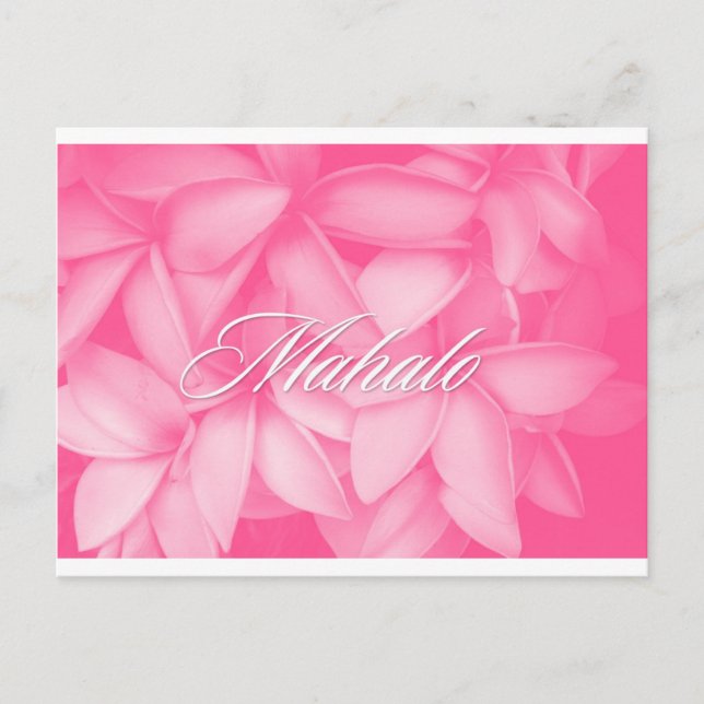 Mahalo Pink Plumeria Card (Front)