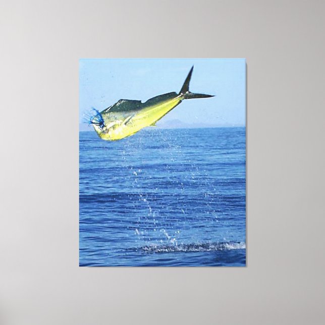 MAHI MAHI CANVAS PRINT (Front)