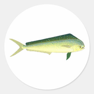 Mahi Mahi - Dolphin Fish Art Classic Round Sticker