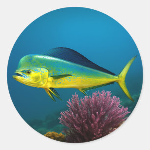 Mahi-Mahi Majesty Classic Round Sticker