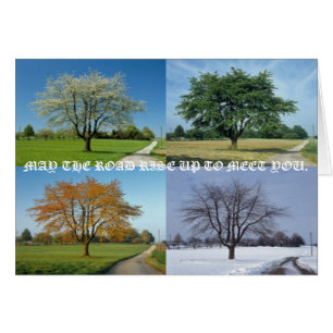 MAI LA ROUTE SE LÈVENT POUR VOUS RENCONTRER