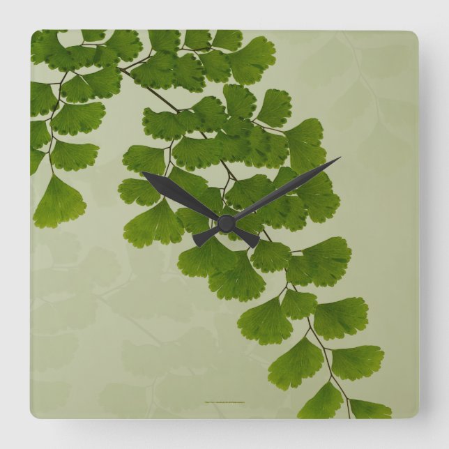 Maiden Hair Fern Frond Square Wall Clock (Front)