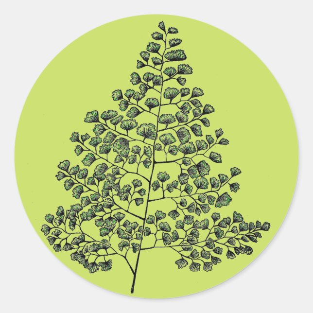 Maidenhair Fern Classic Round Sticker (Front)