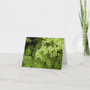 Maidenhead Fernn Card