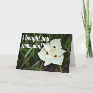 mail card