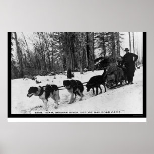 Mail Delivery by a Dog Team 1905 Poster