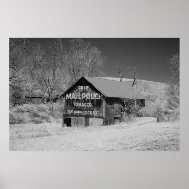 Mail Pouch Barn Poster (Front)