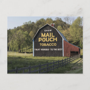 Mail Pouch Tobacco sign on a barn in rural Jackson Postcard