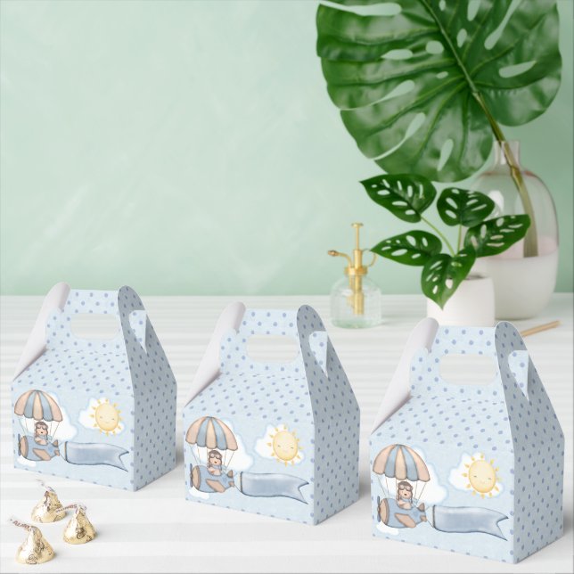 Mailbox Aviator Bear Favor Box (Multiple)