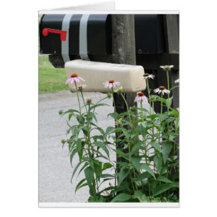 Mailbox & Flowers Bring Love & Prayers