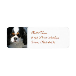 Mailing Label-2 - Customized