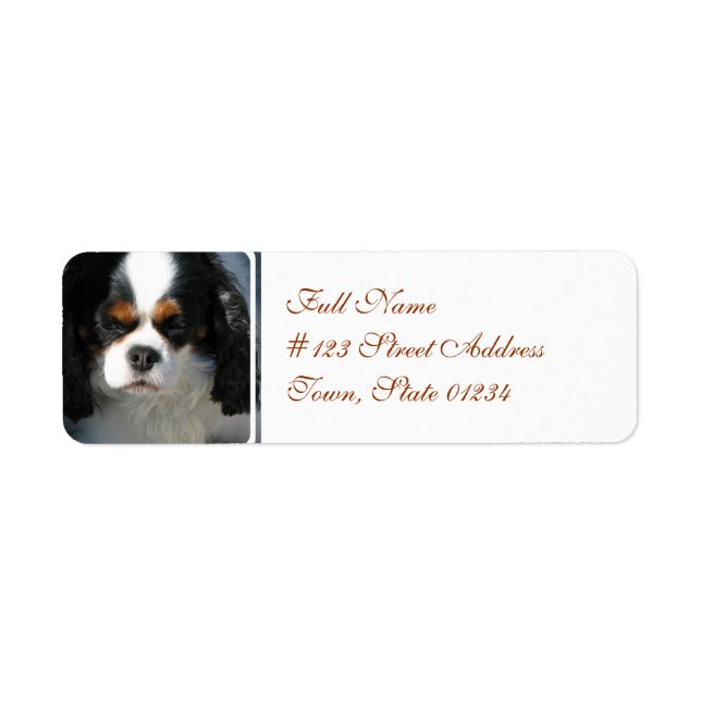 Mailing Label-2 - Customized (Front)