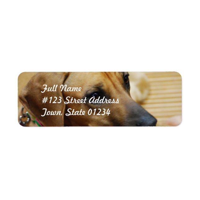 Mailing Label Template 2 - Customized (Front)