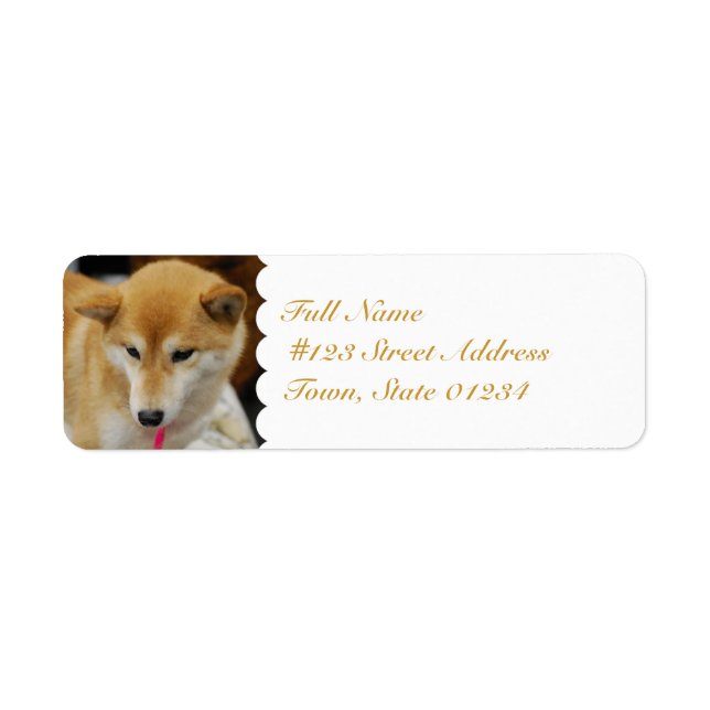 MailingLabel-5 - Customized (Front)
