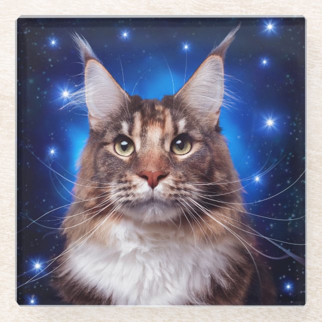 Main Coon Cat Blue Background Stars Glass Coaster (Front)