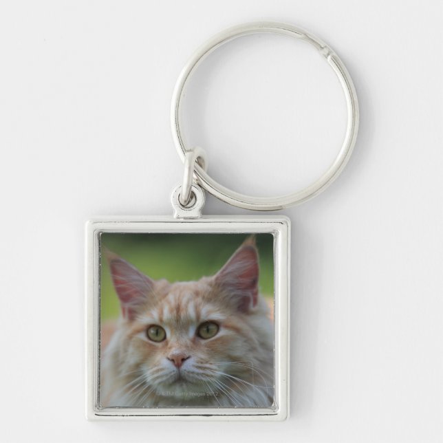 Main coon cat keychain (Front)
