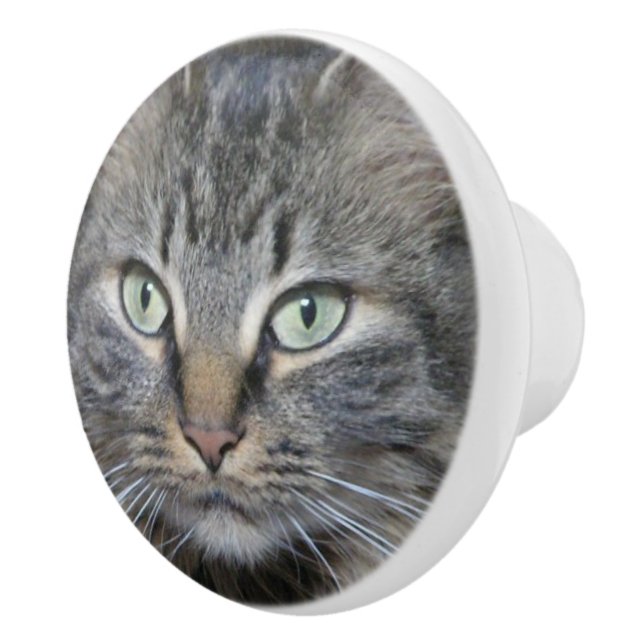 Main Coon Cats Eyes Ceramic Knob (Right)