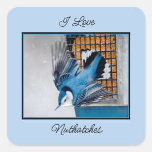 main horizontal square sticker