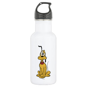 Main Mickey Shorts Pluto 532 Ml Water Bottle