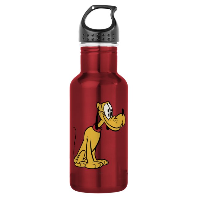 Main Mickey Shorts | Pluto Sitting 532 Ml Water Bottle (Front)