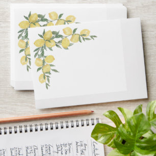 Main Squeeze Envelopes