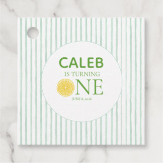 Main squeeze Lemon First Birthday Favour Tags