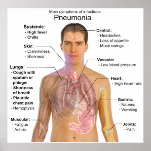 Main Symptoms of Infectious Pneumonia Diagram Poster