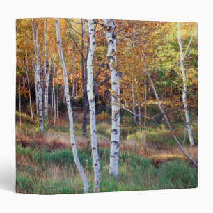 Maine, Acadia National Park, Autumn Binder