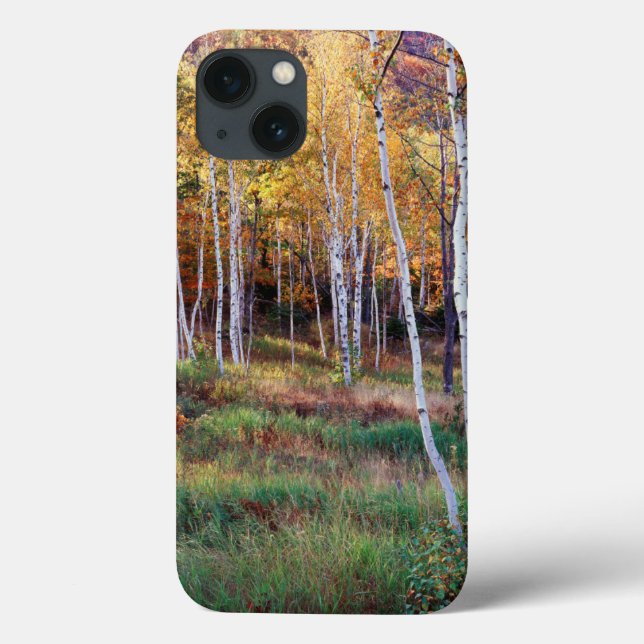 Maine, Acadia National Park, Autumn Case-Mate iPhone Case (Back)