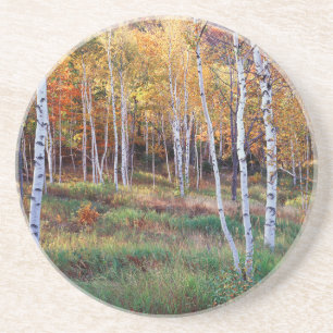 Maine, Acadia National Park, Autumn Coaster
