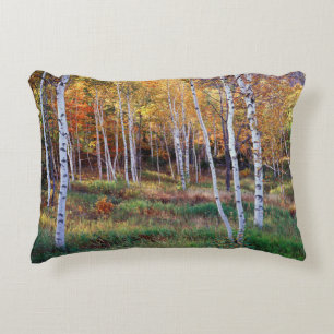 Maine, Acadia National Park, Autumn Decorative Pillow